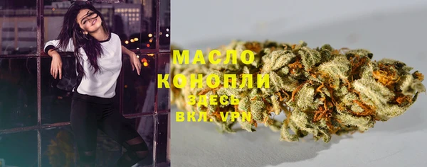 мет Няндома