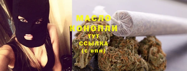 мет Няндома