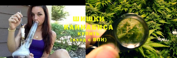 гашик Апатиты