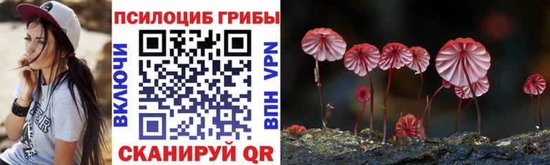 Галлюциногенные грибы мицелий  Карталы 